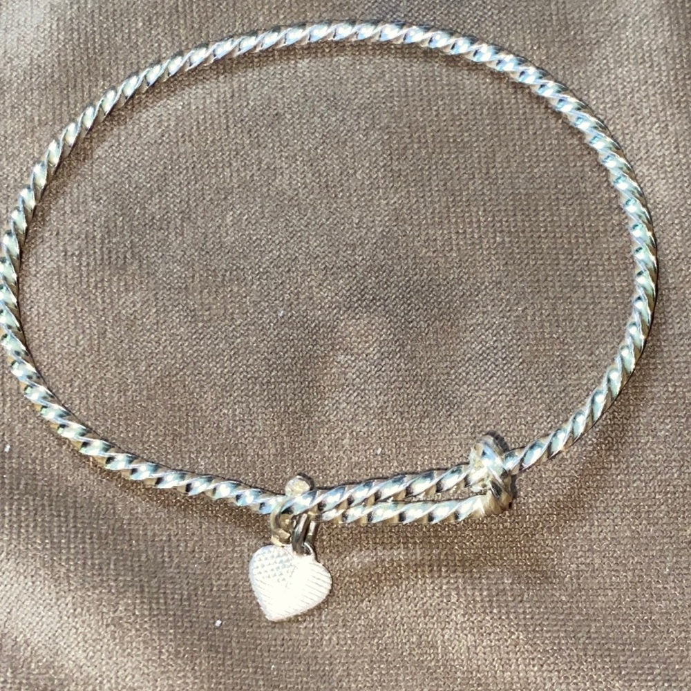 ALEX AND ANI